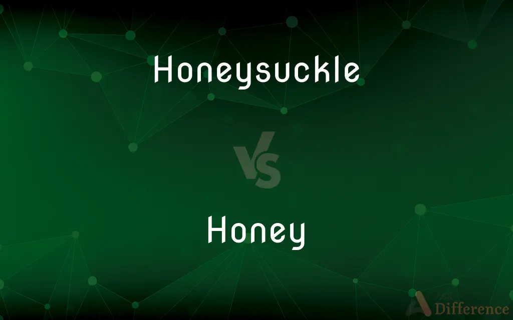 Honeysuckle vs. Honey — What's the Difference?