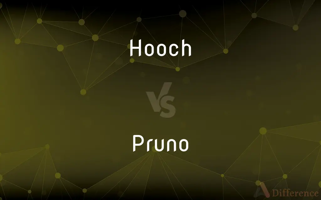 Hooch vs. Pruno — What's the Difference?