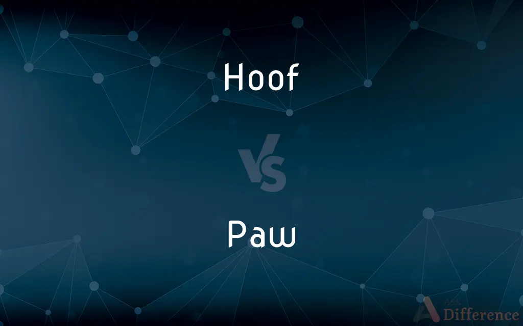 Hoof vs. Paw — What's the Difference?