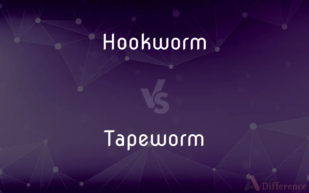 Hookworm vs. Tapeworm — What's the Difference?