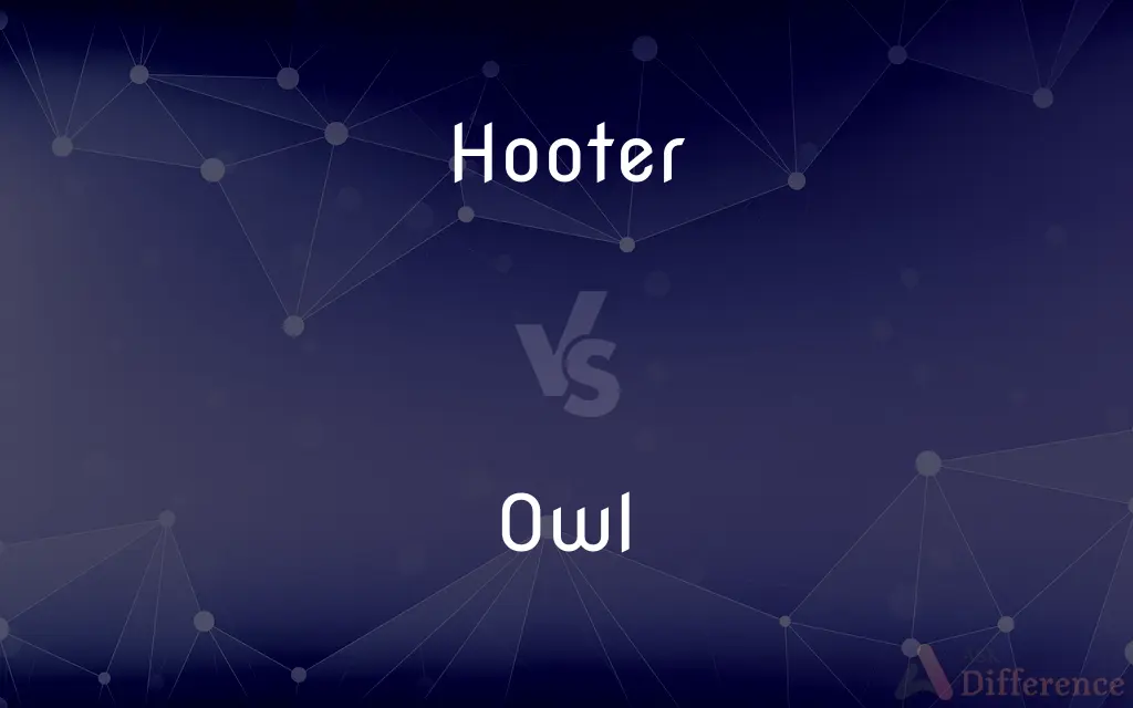 Hooter vs. Owl — What's the Difference?