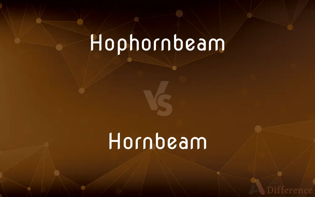 Hophornbeam vs. Hornbeam — What's the Difference?