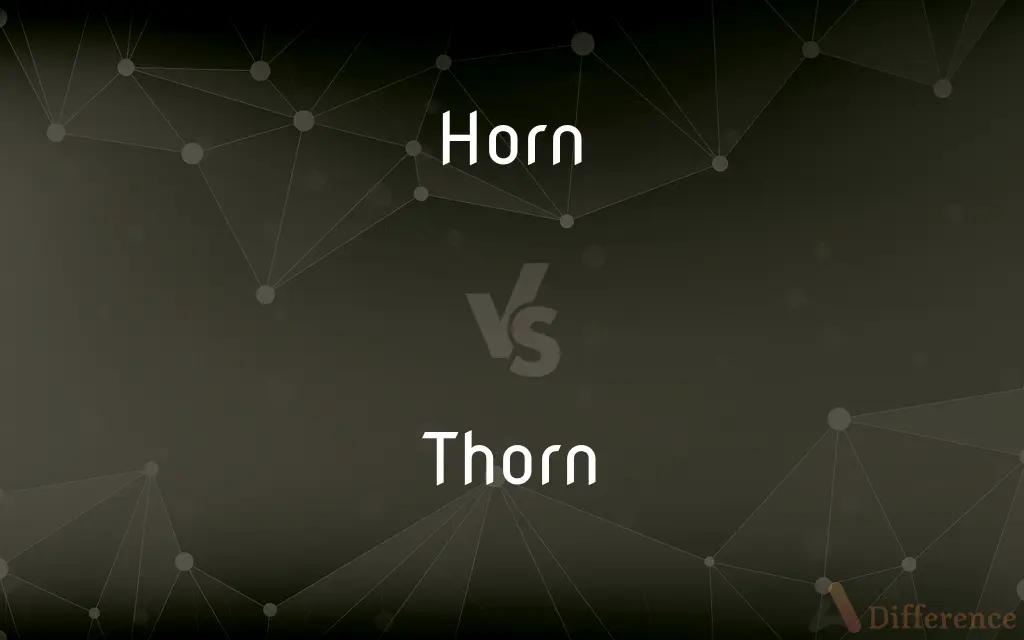 Horn vs. Thorn — What's the Difference?