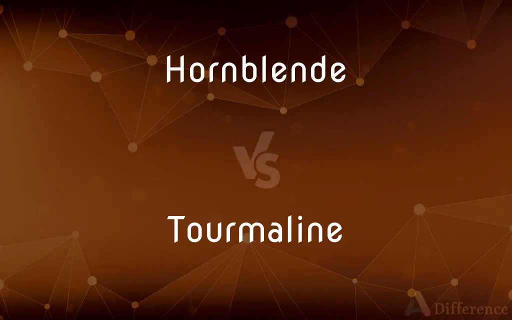 Hornblende vs. Tourmaline — What's the Difference?