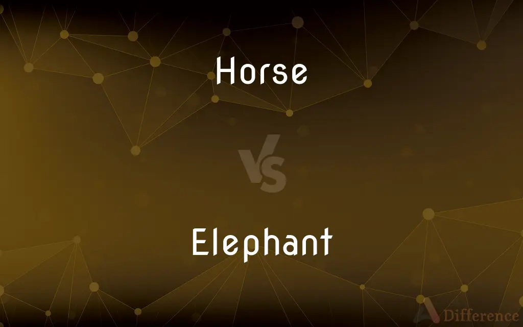 Horse vs. Elephant — What's the Difference?