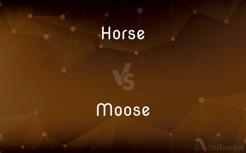 Horse vs. Moose — What's the Difference?