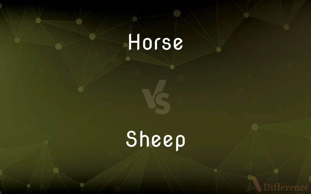 Horse vs. Sheep — What's the Difference?