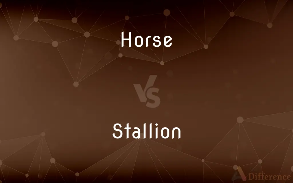 Horse vs. Stallion — What's the Difference?