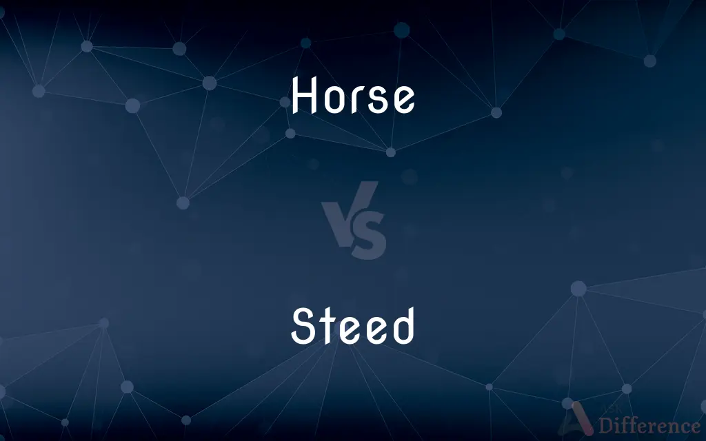 Horse vs. Steed — What's the Difference?