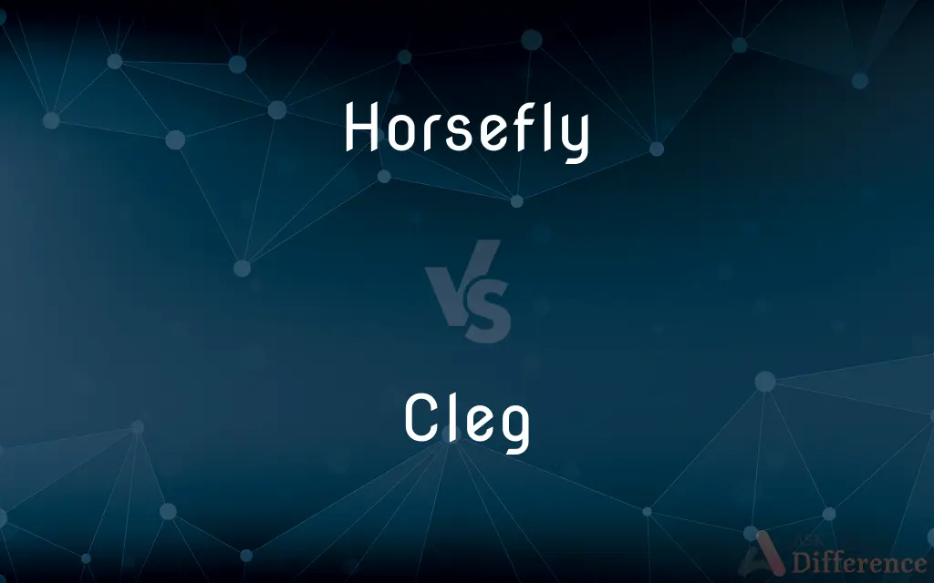 Horsefly vs. Cleg — What's the Difference?