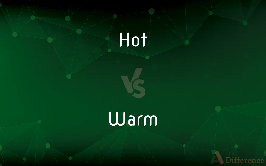 Hot vs. Warm — What's the Difference?