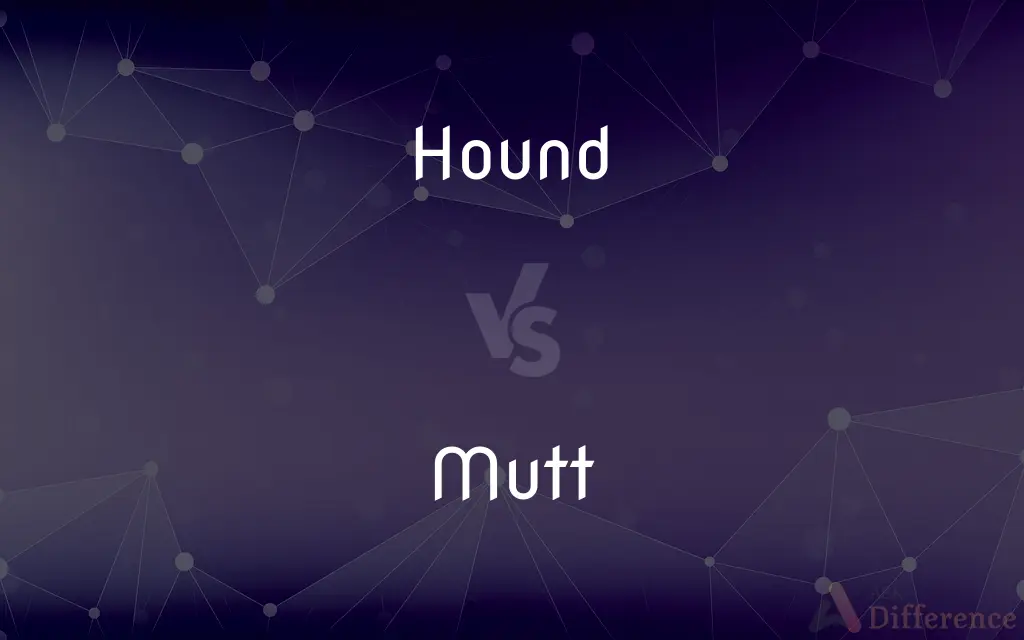 Hound vs. Mutt — What's the Difference?