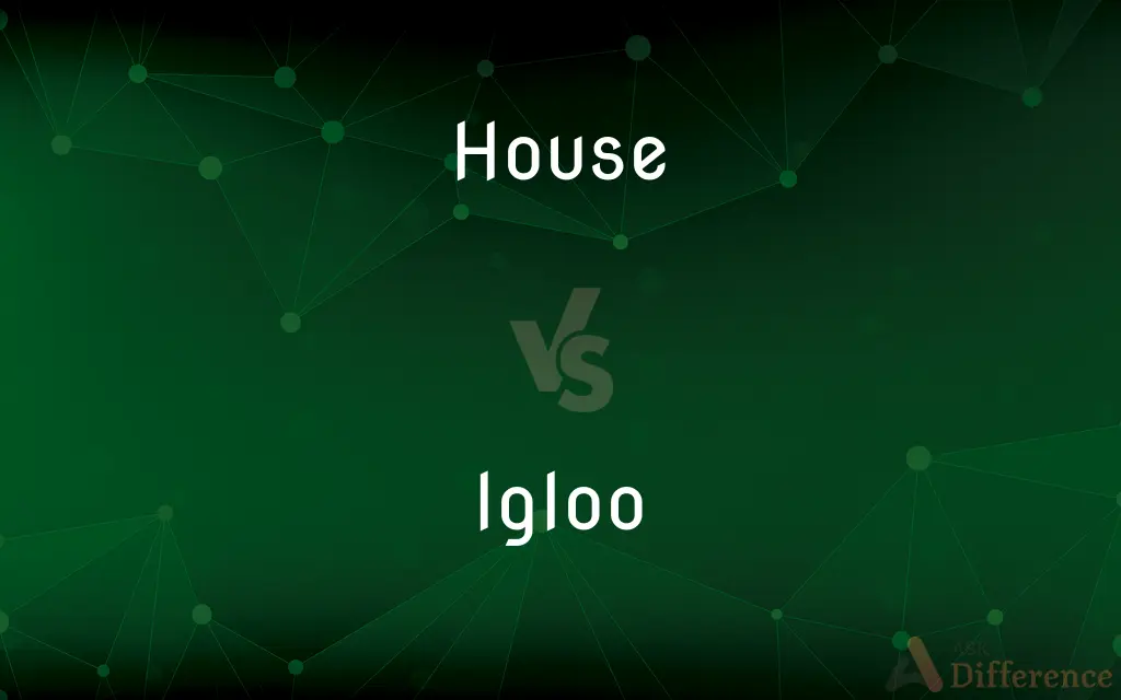 House vs. Igloo — What's the Difference?