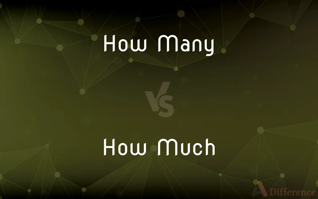 How Many vs. How Much — What's the Difference?