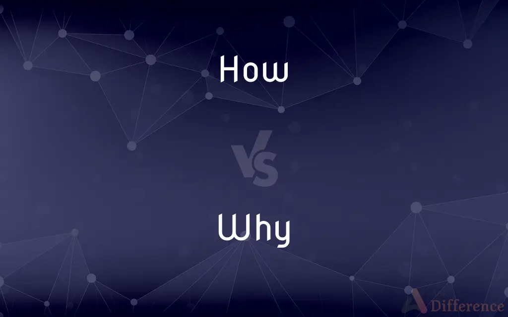 How vs. Why — What's the Difference?