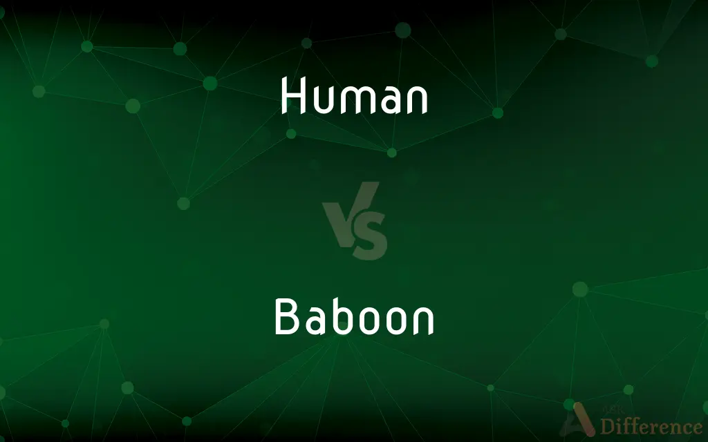 Human vs. Baboon — What's the Difference?