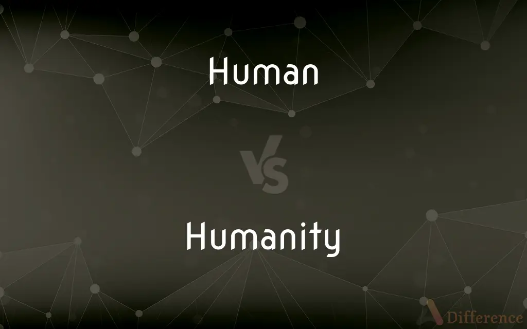 Human vs. Humanity — What's the Difference?