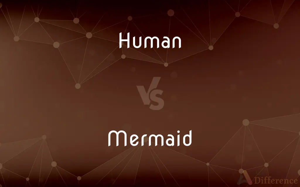 Human vs. Mermaid — What's the Difference?