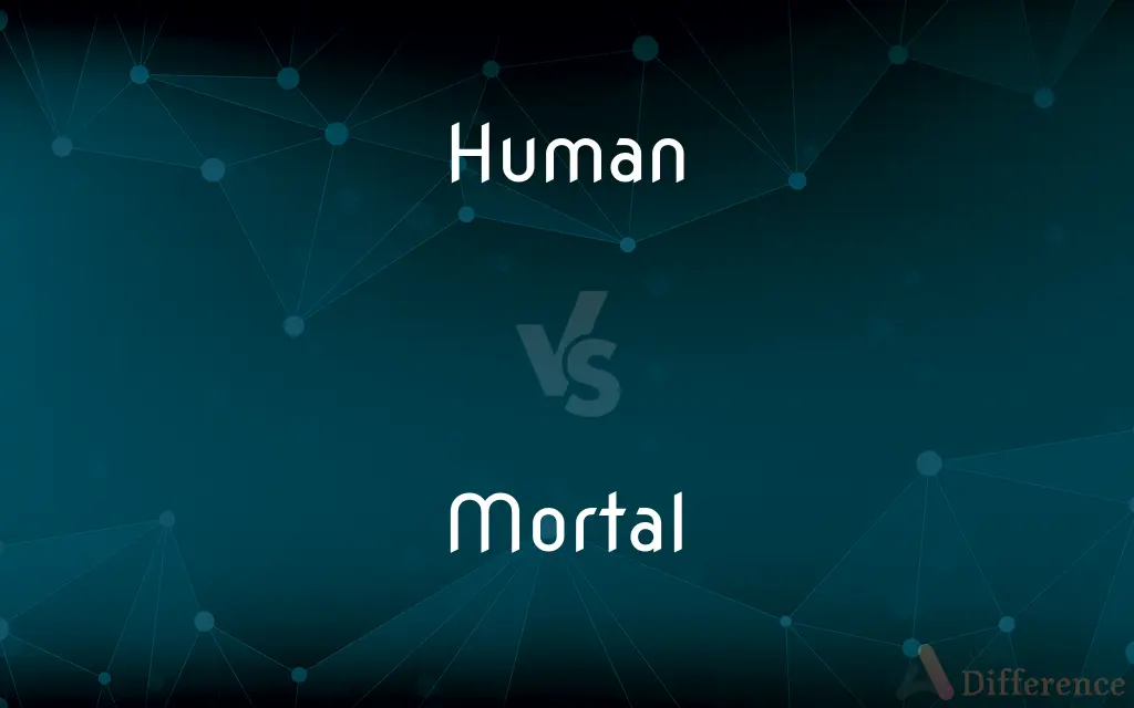 Human vs. Mortal — What's the Difference?