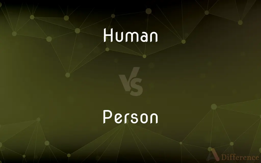 Human vs. Person — What's the Difference?