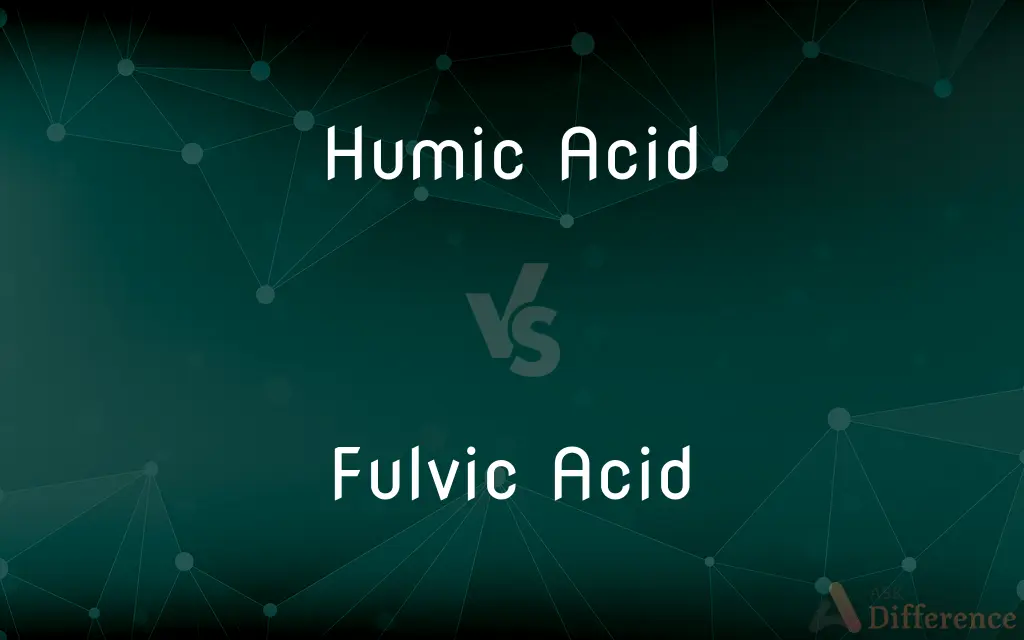 Humic Acid vs. Fulvic Acid — What's the Difference?