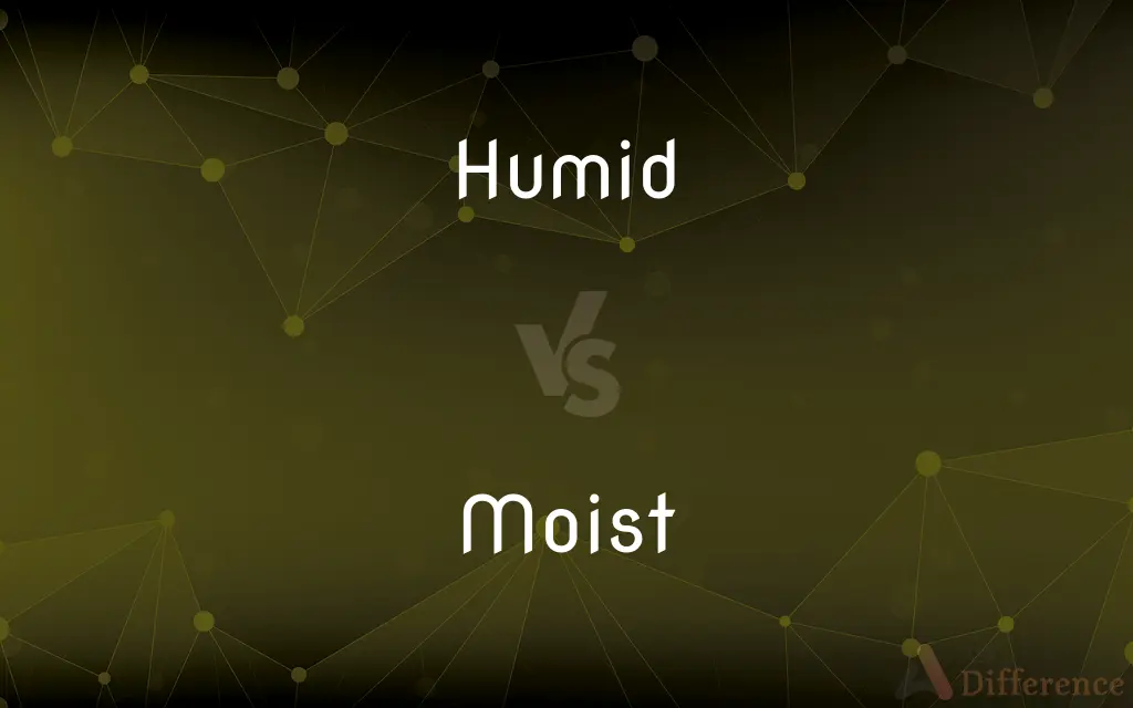 Humid vs. Moist — What's the Difference?