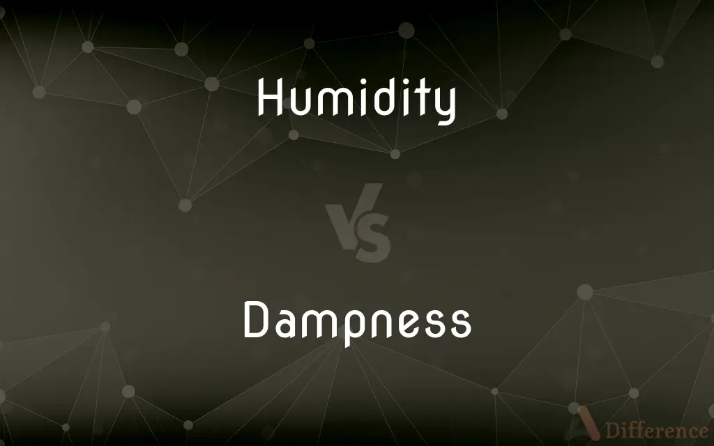 Humidity vs. Dampness — What's the Difference?