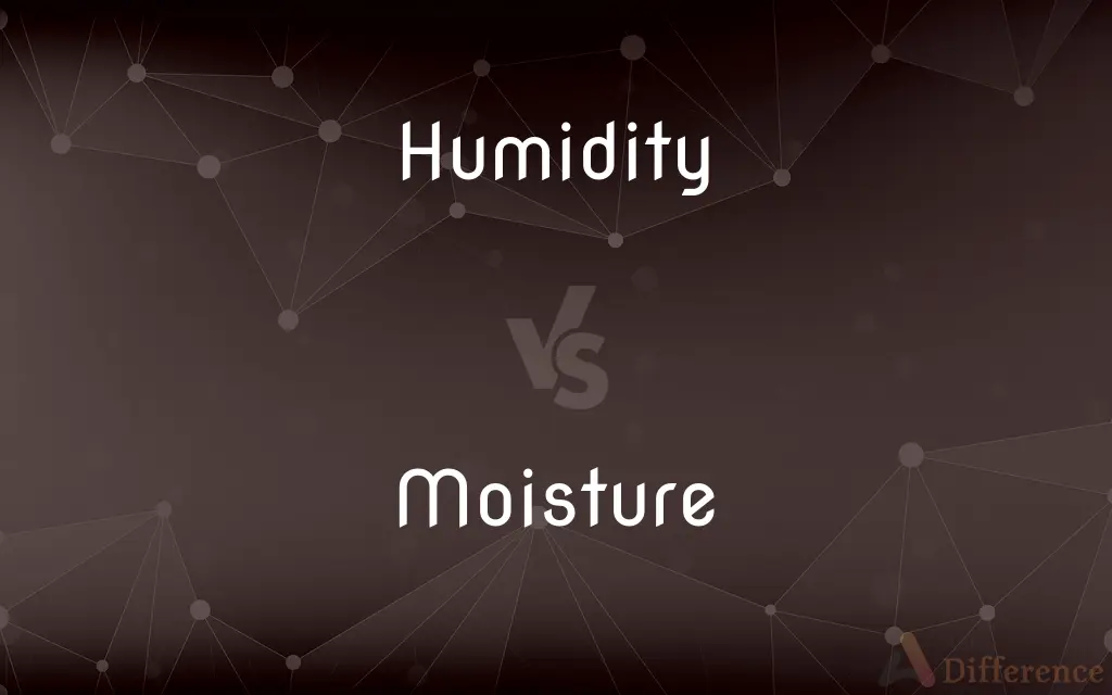 Humidity vs. Moisture — What's the Difference?