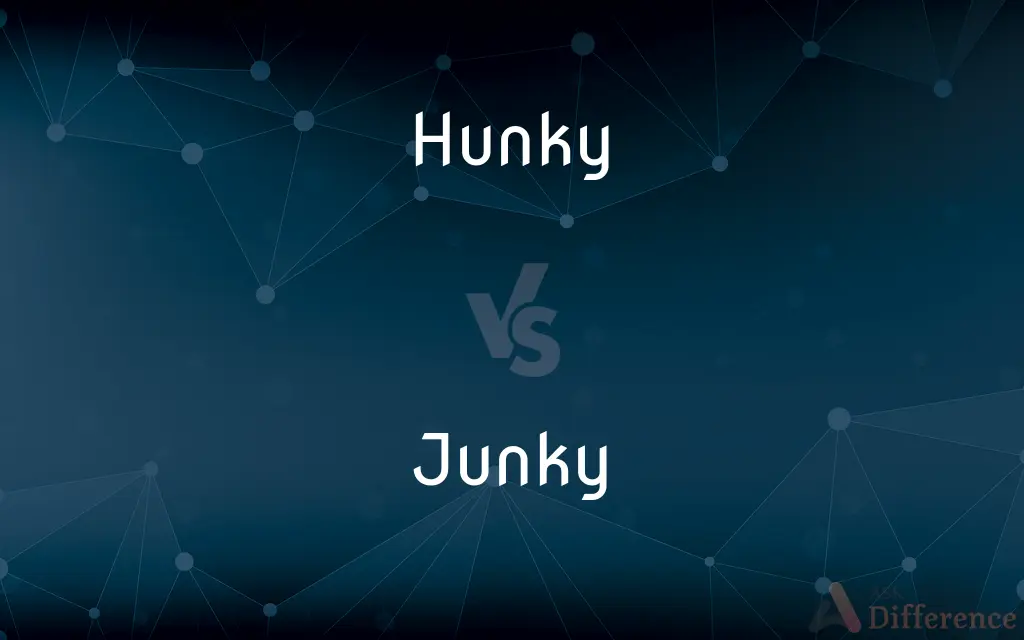 Hunky vs. Junky — What's the Difference?