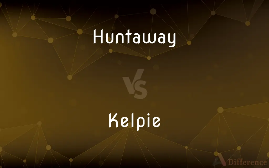 Huntaway vs. Kelpie — What's the Difference?