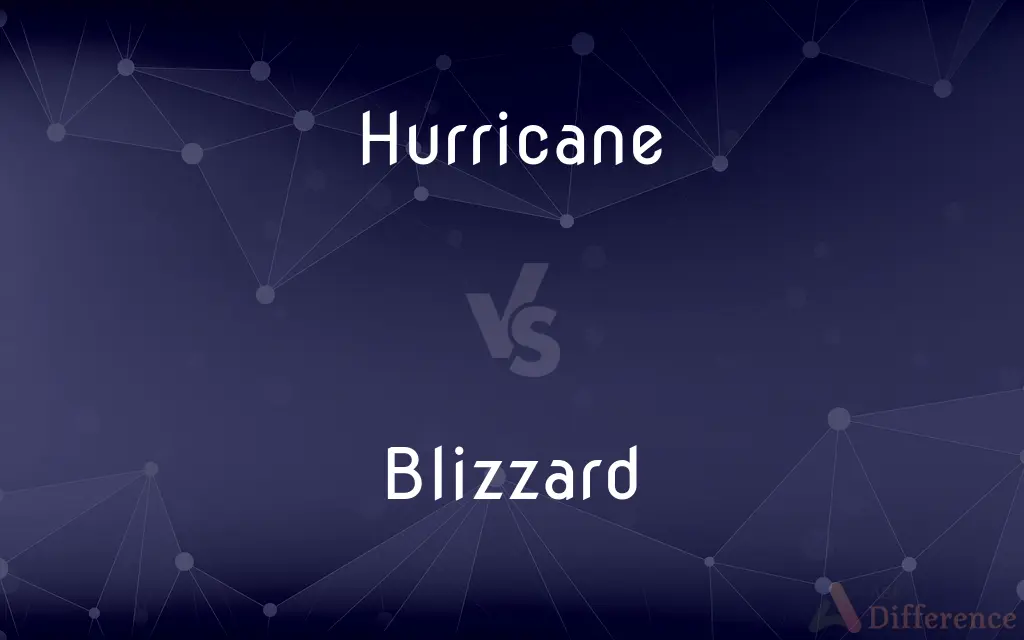 Hurricane vs. Blizzard — What's the Difference?