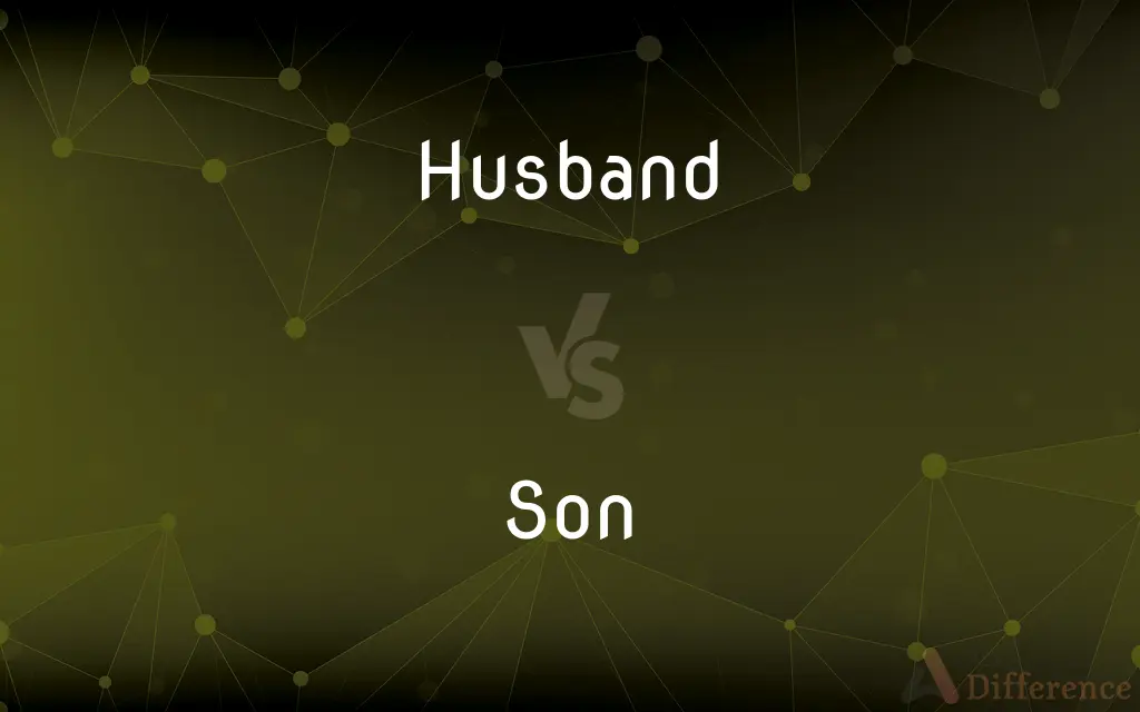 Husband vs. Son — What's the Difference?