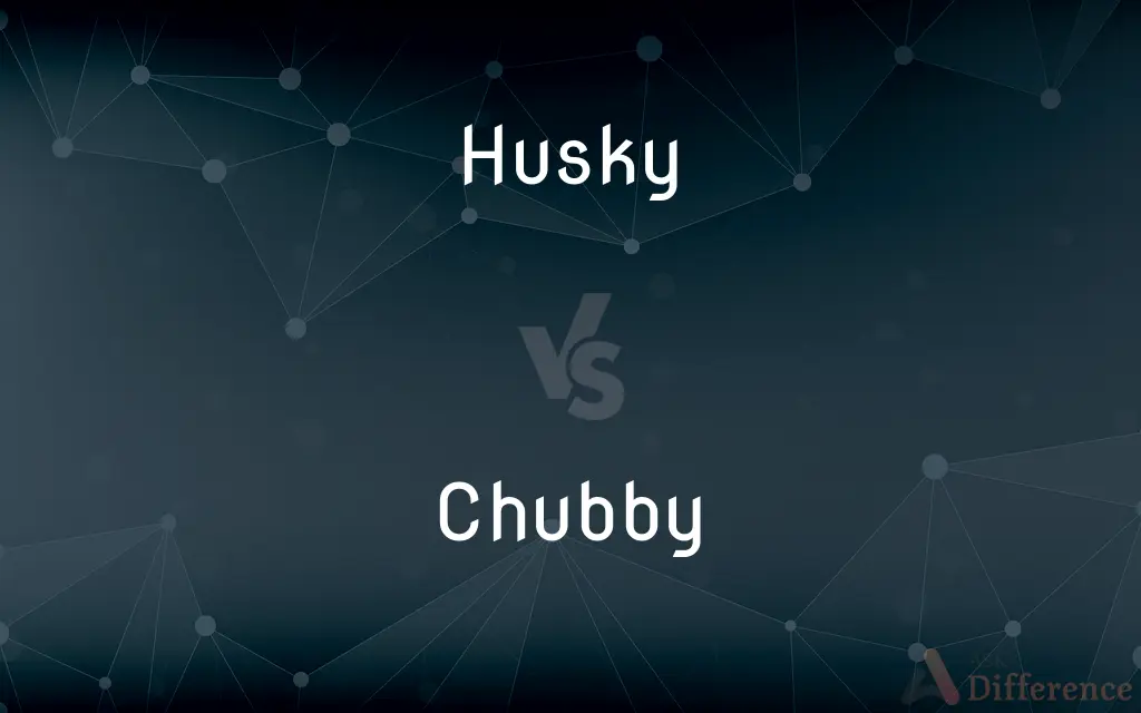 Husky vs. Chubby — What's the Difference?