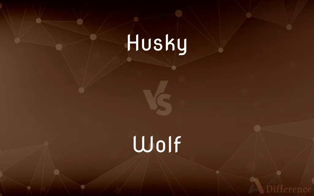 Husky vs. Wolf — What's the Difference?