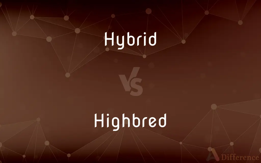Hybrid vs. Highbred — What's the Difference?