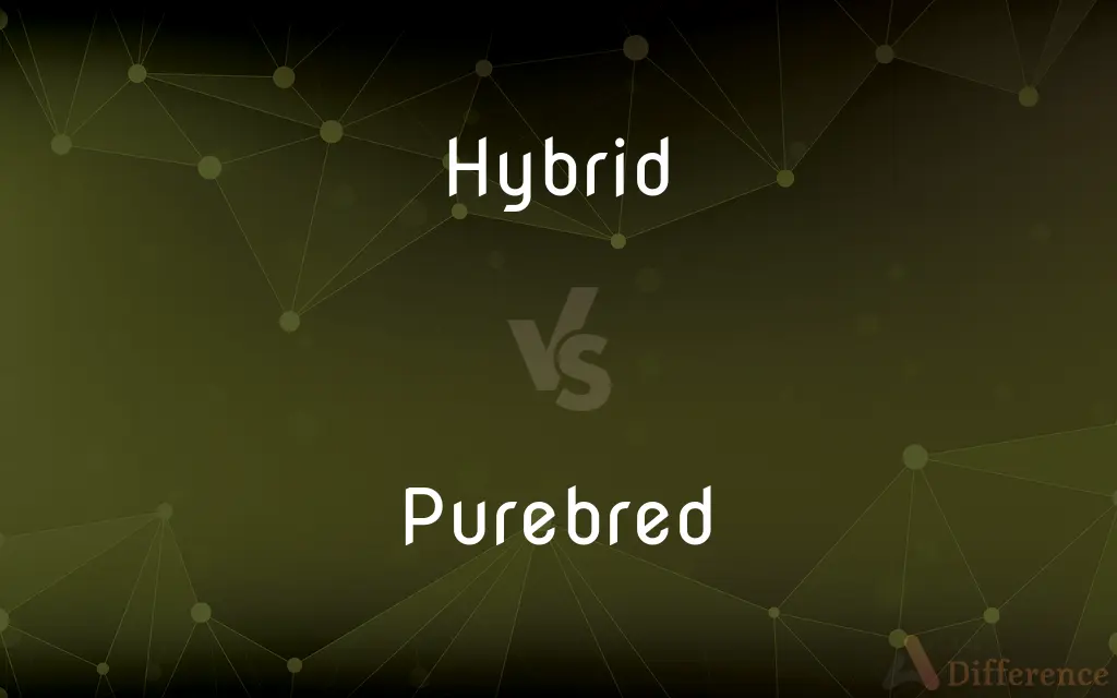 Hybrid vs. Purebred — What's the Difference?