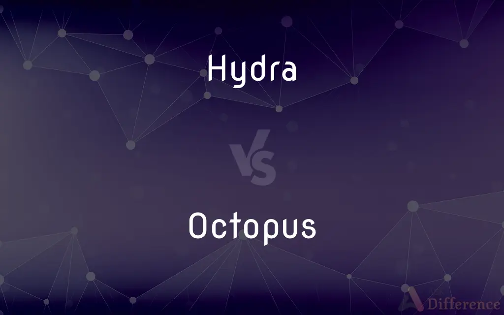 Hydra vs. Octopus — What's the Difference?