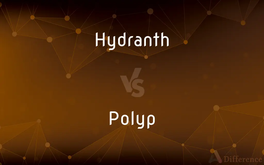 Hydranth vs. Polyp — What's the Difference?