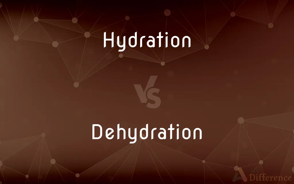 Hydration vs. Dehydration — What's the Difference?