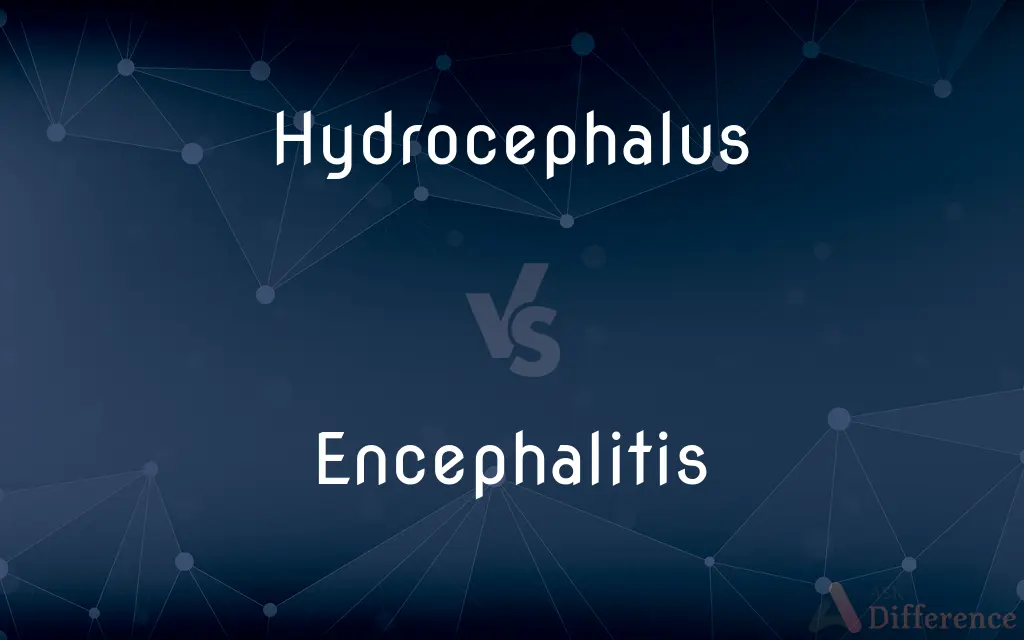 Hydrocephalus vs. Encephalitis — What's the Difference?