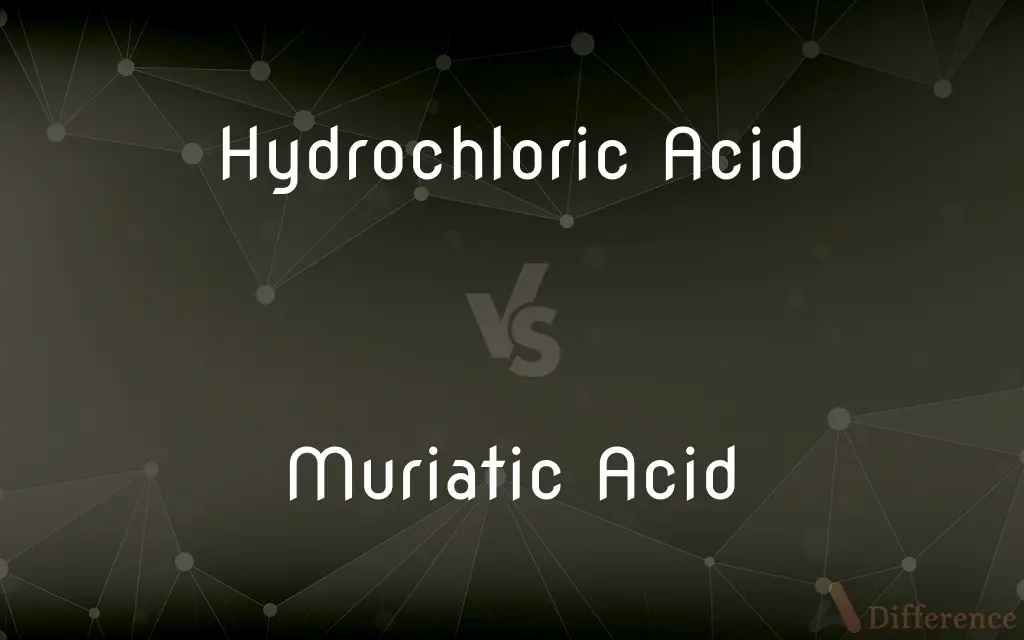 Hydrochloric Acid vs. Muriatic Acid — What's the Difference?