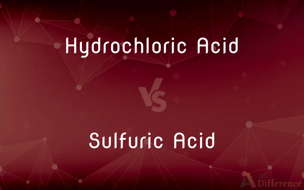 Hydrochloric Acid vs. Sulfuric Acid — What's the Difference?