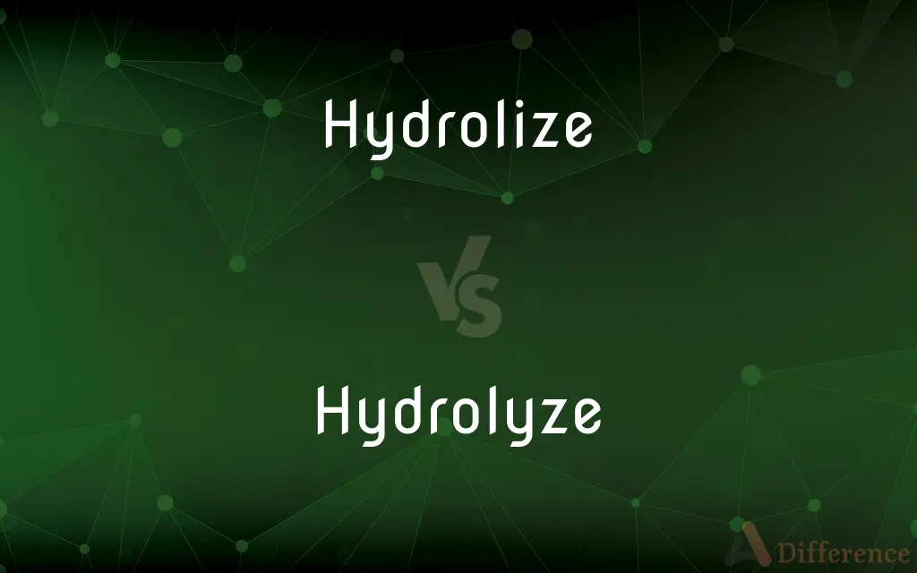 Hydrolize vs. Hydrolyze — Which is Correct Spelling?