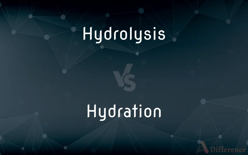 Hydrolysis vs. Hydration — What's the Difference?