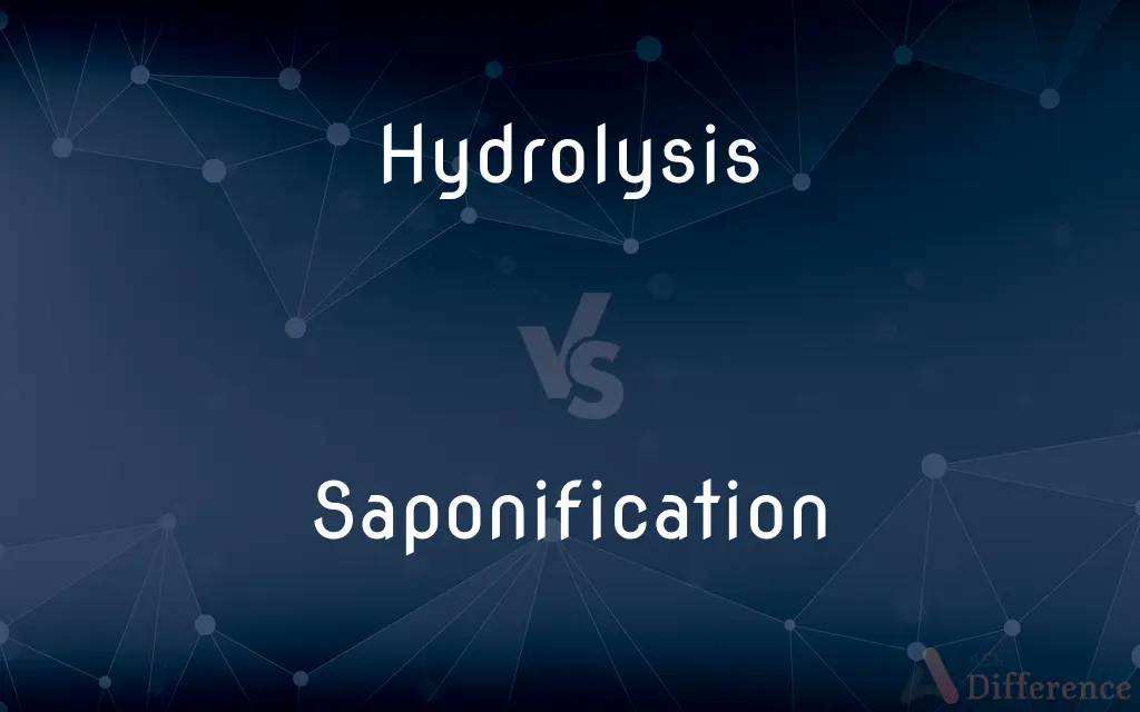 Hydrolysis vs. Saponification — What's the Difference?
