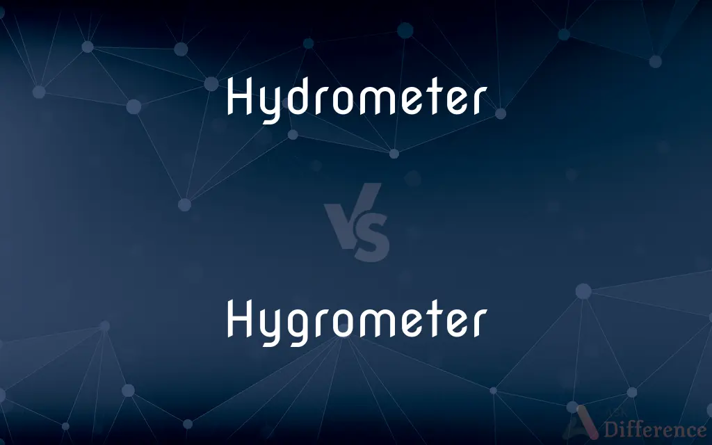 Hydrometer vs. Hygrometer — What's the Difference?