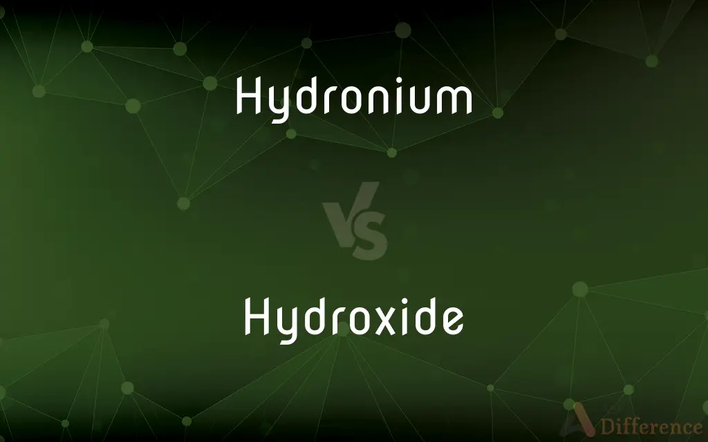 Hydronium vs. Hydroxide — What's the Difference?