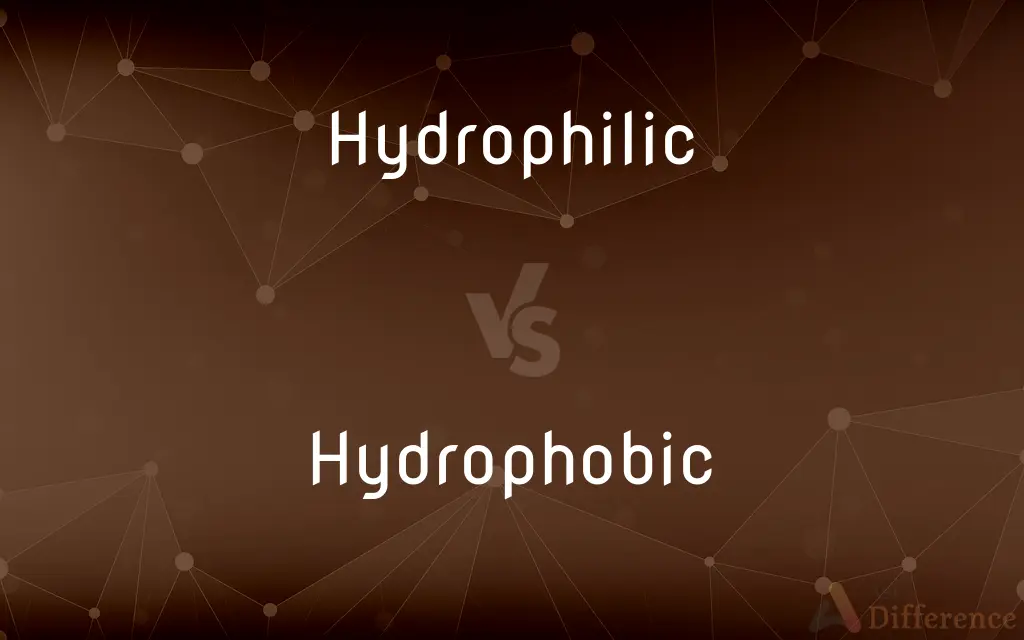 Hydrophilic vs. Hydrophobic — What's the Difference?
