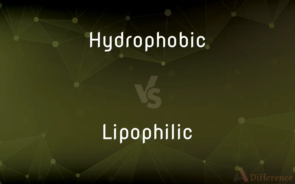 Hydrophobic vs. Lipophilic — What's the Difference?