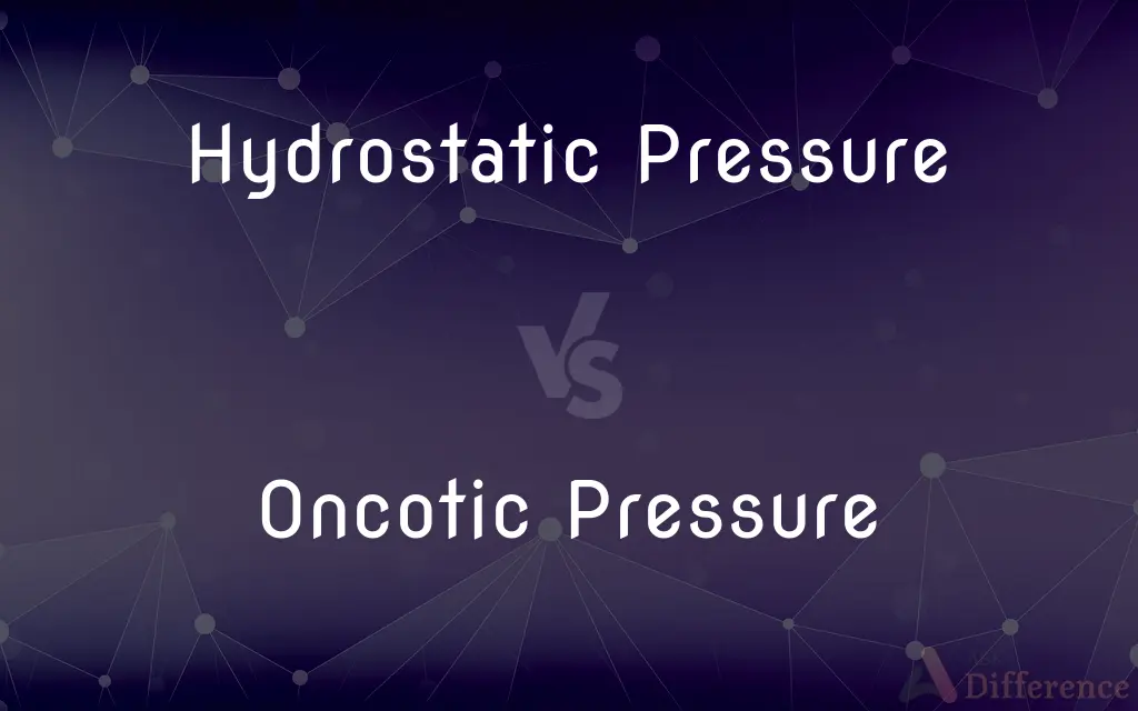 Hydrostatic Pressure vs. Oncotic Pressure — What's the Difference?